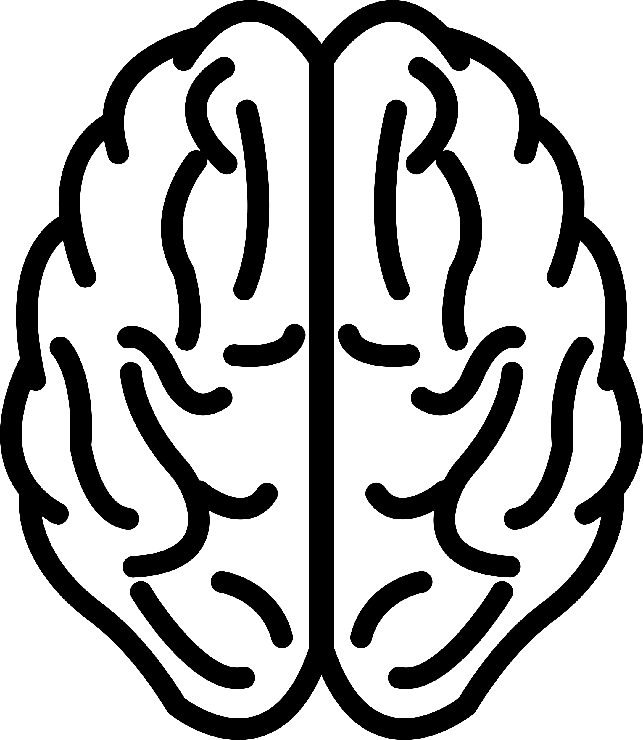 Brain Upper View Outline Line Art Illustration Svg Free Vectors